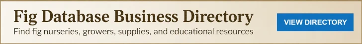 FD Business Directory