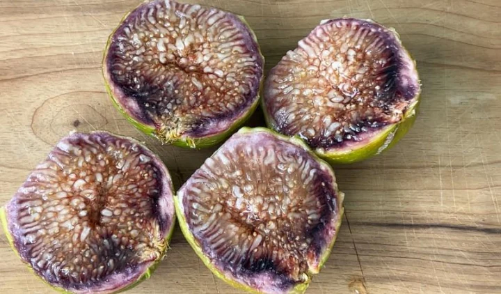 Fig variety from the database