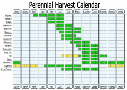Orchard-Harvest-Calendar.png
