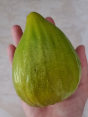 fig fruit 1.jpg