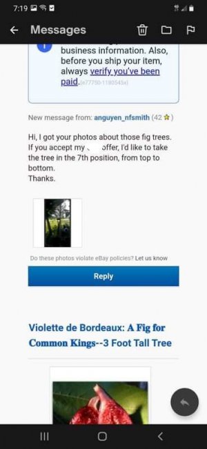Pick Your Tree 1.jpg