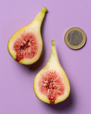 Figs-size-and-internal.jpg Figs-size-and-internal.jpg