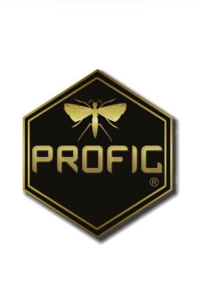 Profig