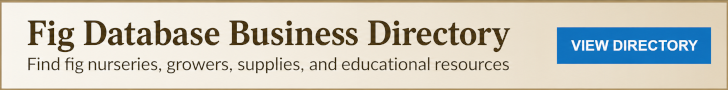 FD Business Directory
