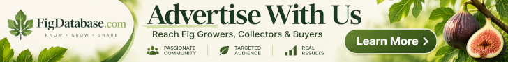 Advertise With Us