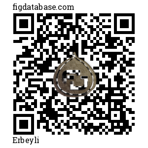 Erbeyli QR Code