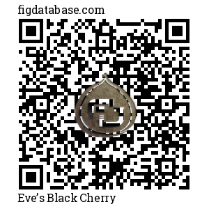 Eve&rsquo;s Black Cherry QR Code