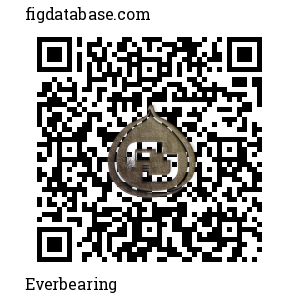 Everbearing QR Code