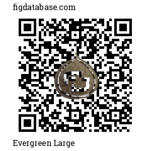 Evergreen Large QR Code