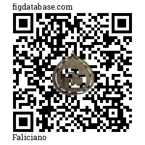 Faliciano QR Code