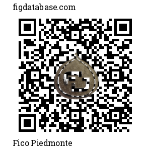 Fico Piedmonte QR Code