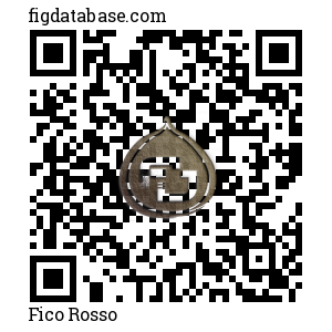 Fico Rosso QR Code