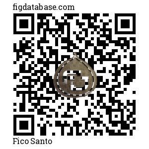 Fico Santo QR Code