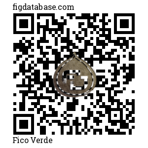 Fico Verde QR Code