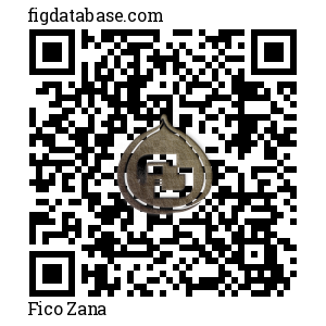 Fico Zana QR Code