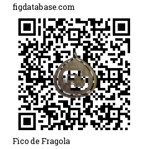 Fico de Fragola QR Code