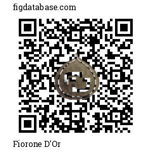 Fiorone D'Or QR Code