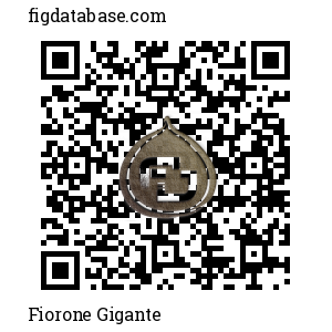 Fiorone Gigante QR Code