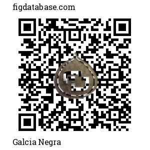 Galcia Negra QR Code