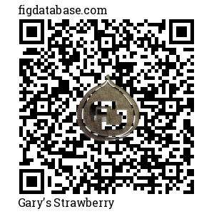 Gary&rsquo;s Strawberry QR Code