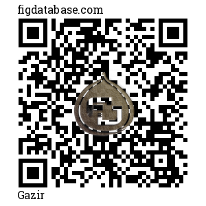 Gazir QR Code