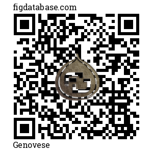 Genovese QR Code