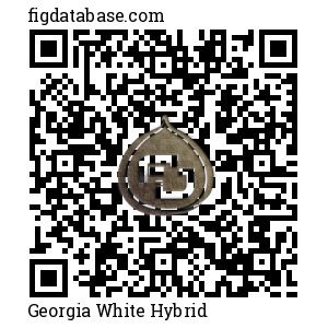 Georgia White Hybrid QR Code