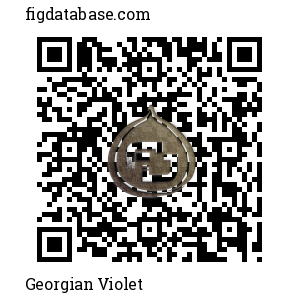 Georgian Violet QR Code