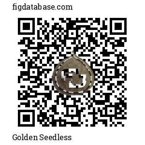 Golden Seedless QR Code