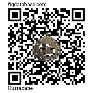 Hurracane QR Code