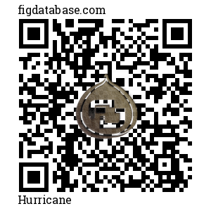 Hurricane QR Code