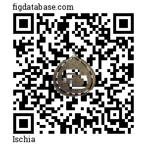 Ischia QR Code
