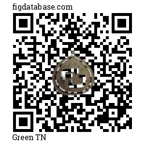Green TN QR Code