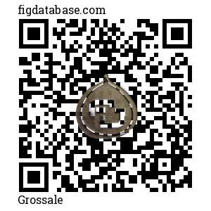 Grossale QR Code