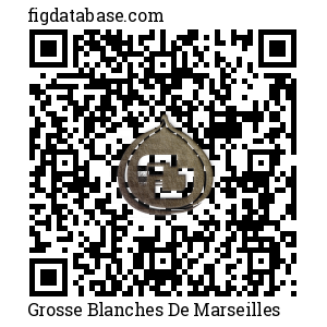 Grosse Blanches De Marseilles QR Code