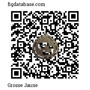 Grosse Jaune QR Code