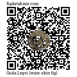 Guda Legvi (wine-skin fig) QR Code