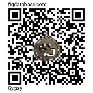 Gypsy QR Code