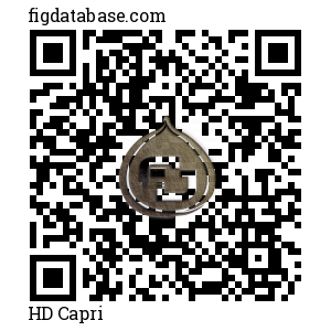 HD Capri QR Code