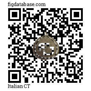 Italian CT QR Code