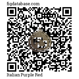 Italian Purple Red QR Code