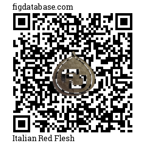 Italian Red Flesh QR Code