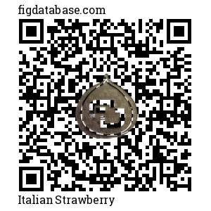 Italian Strawberry QR Code