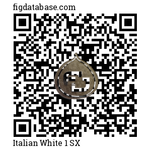 Italian White 1 SX QR Code