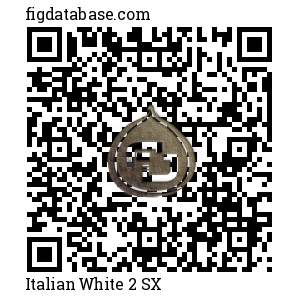 Italian White 2 SX QR Code