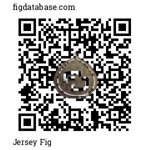 Jersey Fig QR Code