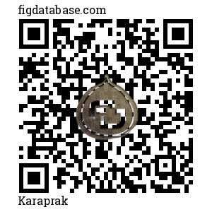 Karaprak QR Code