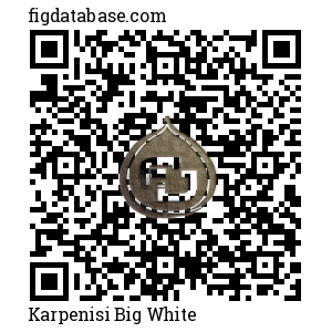 Karpenisi Big White QR Code