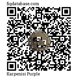 Karpenisi Purple QR Code