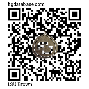 LSU Brown QR Code